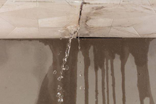 Professional Structural Drying technician working in Jasper, MI